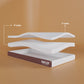 Darzee Natutex Mattress: 7-Zone Support (6 latex)