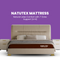 Darzee Natutex Mattress: 7-Zone Support (4+6)